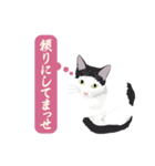 古いナニワ言葉をつぶやく猫（個別スタンプ：21）