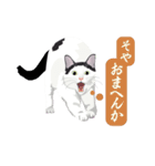 古いナニワ言葉をつぶやく猫（個別スタンプ：22）