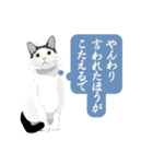 古いナニワ言葉をつぶやく猫（個別スタンプ：23）