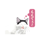 古いナニワ言葉をつぶやく猫（個別スタンプ：25）