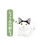 古いナニワ言葉をつぶやく猫（個別スタンプ：26）