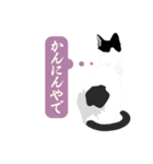 古いナニワ言葉をつぶやく猫（個別スタンプ：28）