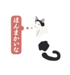 古いナニワ言葉をつぶやく猫（個別スタンプ：29）