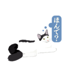 古いナニワ言葉をつぶやく猫（個別スタンプ：30）