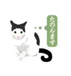 古いナニワ言葉をつぶやく猫（個別スタンプ：32）