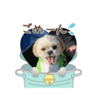 ここさんまろさん（個別スタンプ：3）