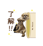 ここさんまろさん（個別スタンプ：4）