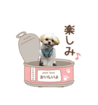 ここさんまろさん（個別スタンプ：6）