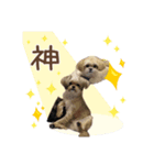 ここさんまろさん（個別スタンプ：7）