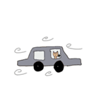 とても可愛い子猫（個別スタンプ：11）