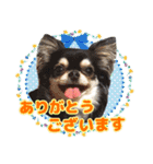 黒チワワの日常3（個別スタンプ：5）