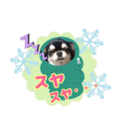 黒チワワの日常3（個別スタンプ：21）