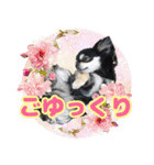 黒チワワの日常3（個別スタンプ：23）