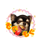 黒チワワの日常3（個別スタンプ：26）