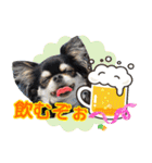 黒チワワの日常3（個別スタンプ：27）