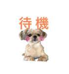 ここさんまろさん 2（個別スタンプ：5）