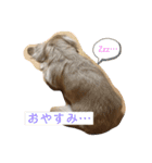 ただの癒し動物（個別スタンプ：3）