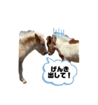 おひぼくスタンプ2（個別スタンプ：23）