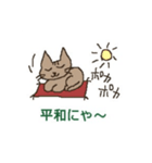 こてつワンcat（個別スタンプ：16）