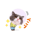 ザ ムック（個別スタンプ：1）