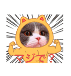 ザ ムック（個別スタンプ：2）