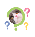 ザ ムック（個別スタンプ：3）