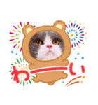 ザ ムック（個別スタンプ：8）