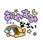 ザ ムック（個別スタンプ：19）