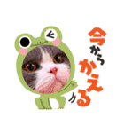 ザ ムック（個別スタンプ：27）