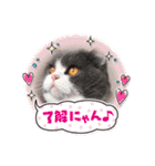 ザ ムック（個別スタンプ：40）