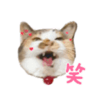 ことみらい②（個別スタンプ：1）