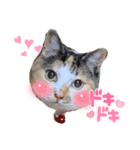 ことみらい②（個別スタンプ：9）