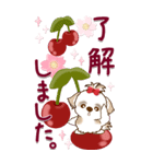 【Big】シーズー犬 72『バレンタイン＆♥』（個別スタンプ：18）