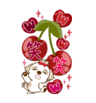 【Big】シーズー犬 72『バレンタイン＆♥』（個別スタンプ：39）