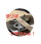 まりも・めかぶ・こんぶすたんぷ！7（個別スタンプ：9）