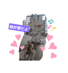 ぱぴぱぴパピヨン57（個別スタンプ：11）