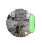 ぱぴぱぴパピヨン57（個別スタンプ：18）