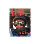 ましお。（個別スタンプ：16）