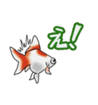 金魚のイラストスタンプ（個別スタンプ：17）