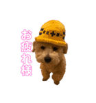 gran is dog（個別スタンプ：7）