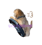 gran is dog（個別スタンプ：9）
