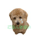 gran is dog（個別スタンプ：10）