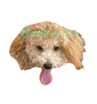gran is dog（個別スタンプ：11）