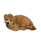gran is dog（個別スタンプ：13）