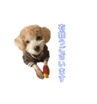 gran is dog（個別スタンプ：15）