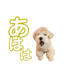 gran is dog（個別スタンプ：21）