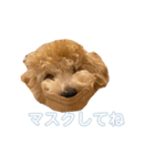 gran is dog（個別スタンプ：40）