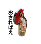 みさき花魁（個別スタンプ：24）