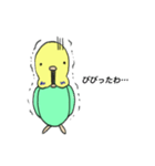 毎日セキセイインコ（個別スタンプ：23）