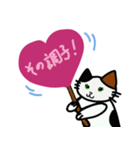 癒しねこにゃあこ（個別スタンプ：12）